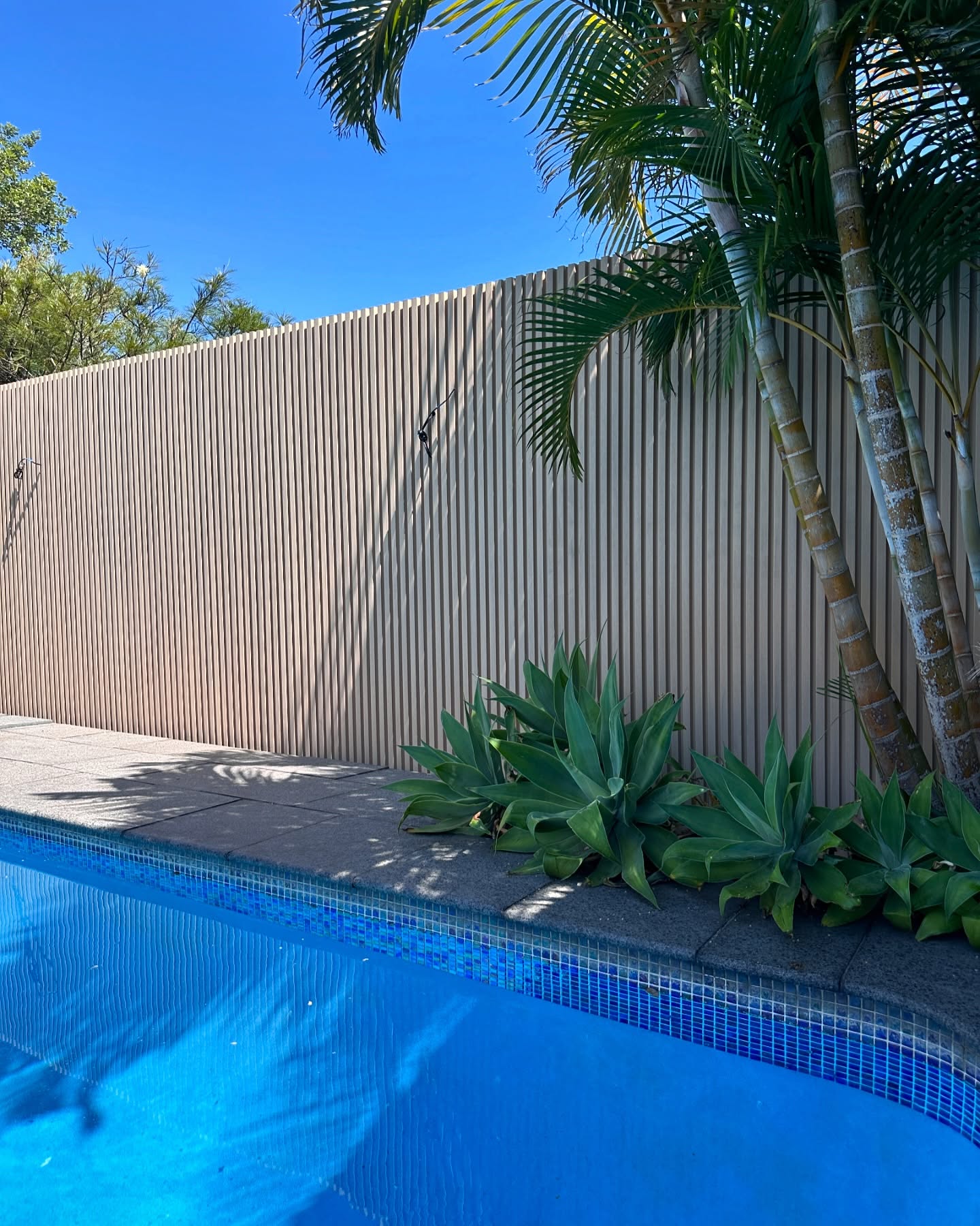 Custom Gate & Fence with Design